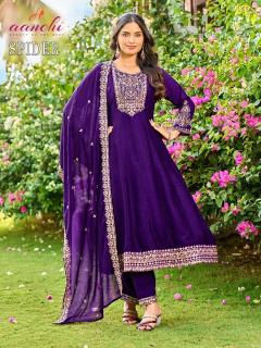Aanchi spider anarkali wholesale bazaar kurti